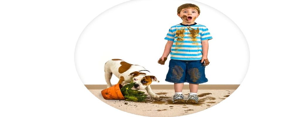 Hobbs Cleaning Ltd Cover Image