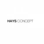 haysconcept Profile Picture