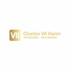 Charles VII Hanin Profile Picture