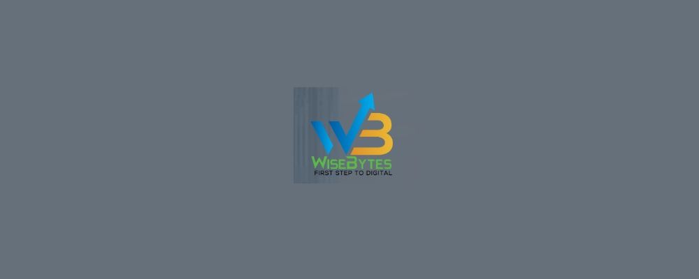 WISEBYTES SOLUTIONS INC Cover Image
