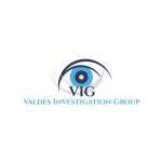 Valdes Investigation Group Profile Picture