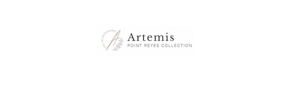 Artemis Fine Art Cover Image