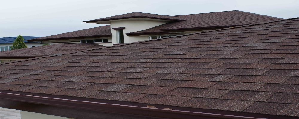 Level Up Wholesale Cover Image