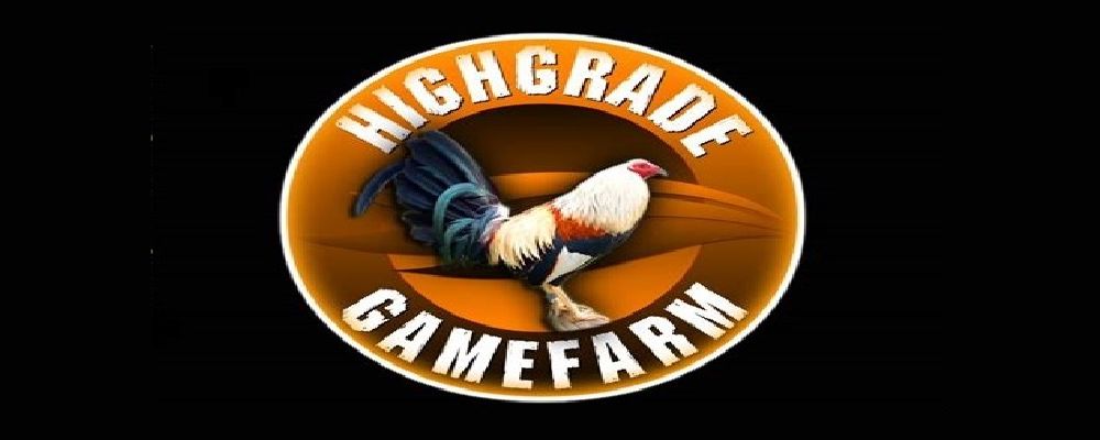 Gamefowlsforsale Cover Image