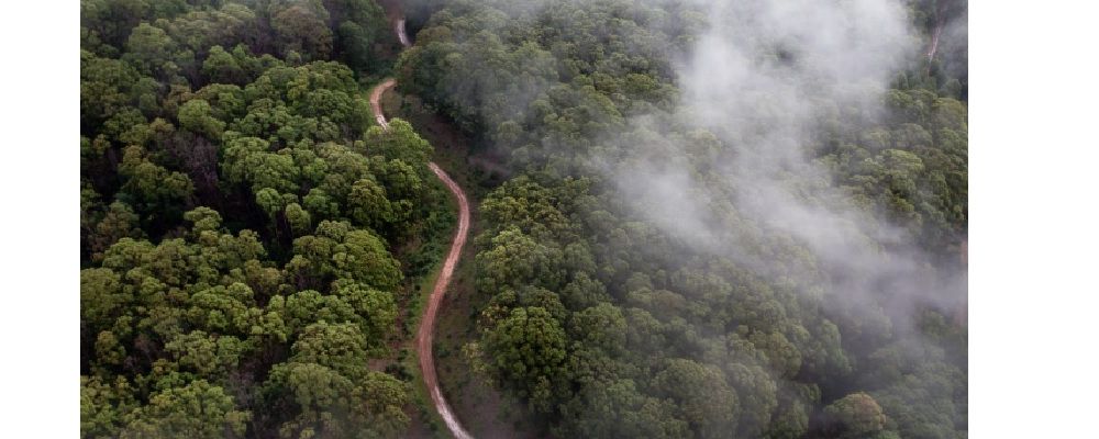 Safari Helicopters Cover Image