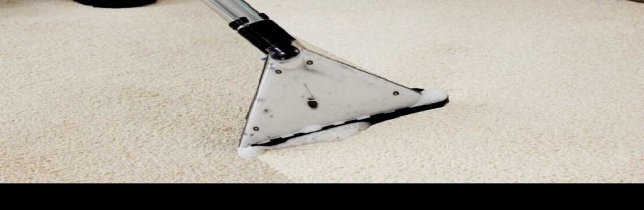 theflyingcarpetandtilecleaner Cover Image