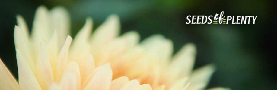 seedsofplentyaus Cover Image