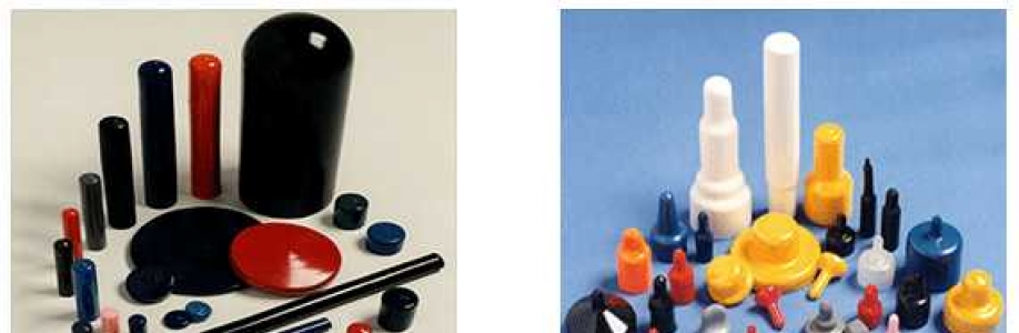 Carlisle Plastics Cover Image