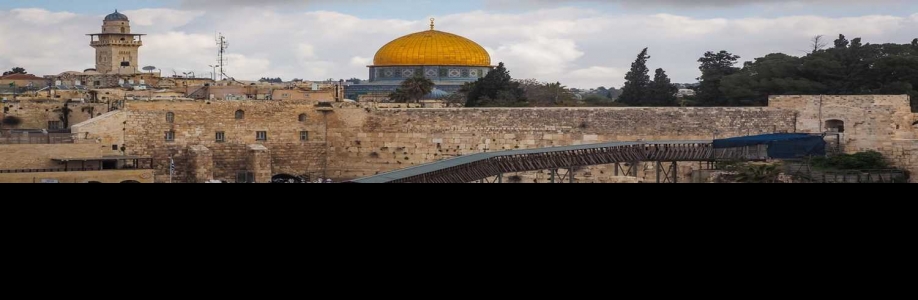 Holy Land VIP tours Cover Image