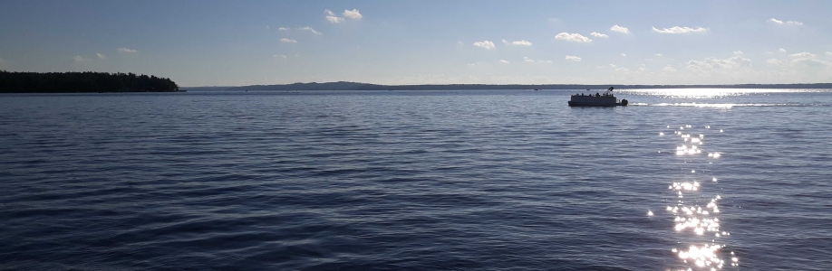 Viking Lakes Inc. Cover Image