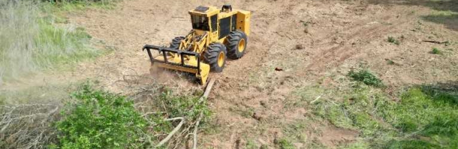 North Carolina Land Clearing Cover Image