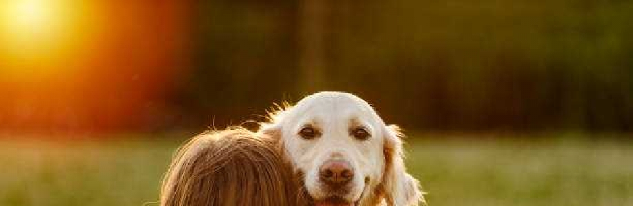 Mr. Nice Dog Grooming Salon Cover Image