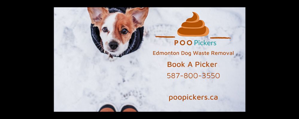 Poo Pickers Cover Image