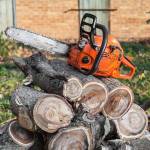City Green Care Inc