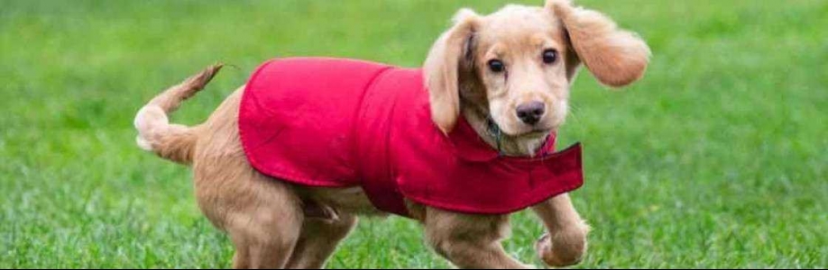 Sarah Blanc Cover Image