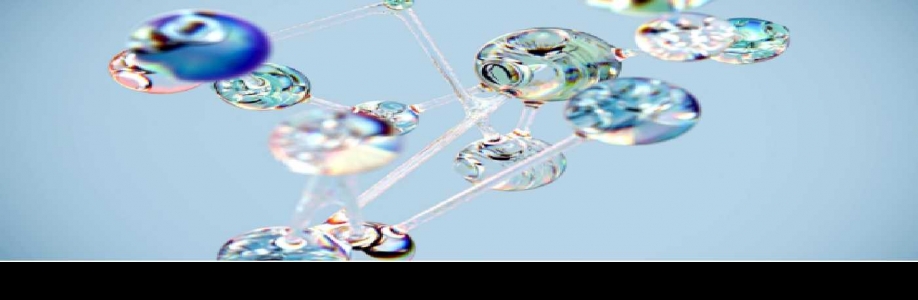 Labiz Insights Cover Image