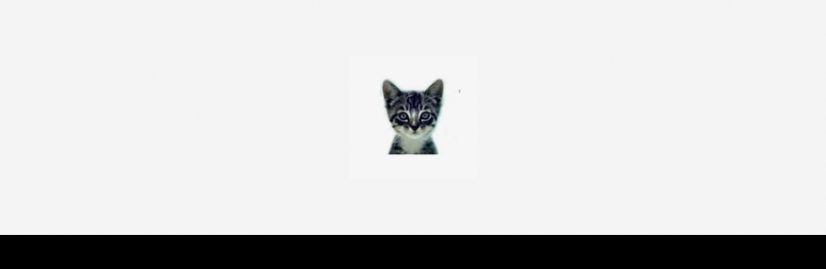We Love Cats and Kittens Cover Image
