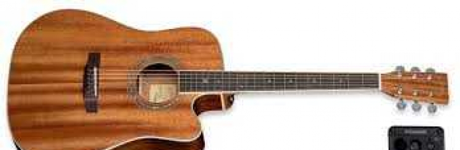 Zager Guitar Cover Image