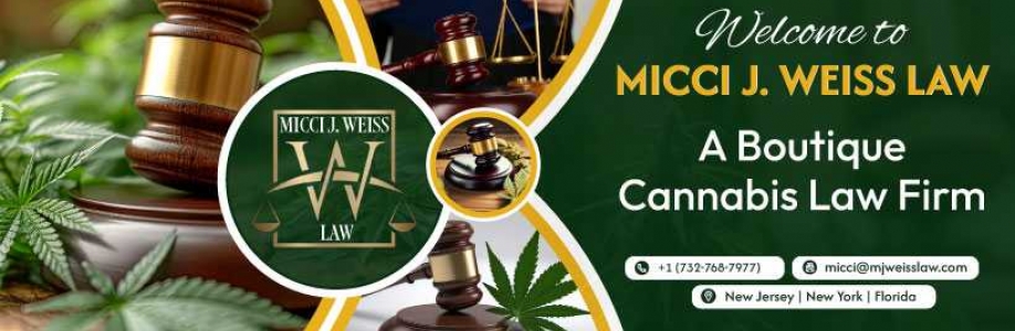 Micci J Weiss Law Cover Image