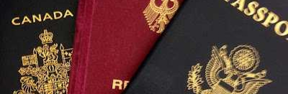 JustIn Document Passport Visa Expediting Cover Image