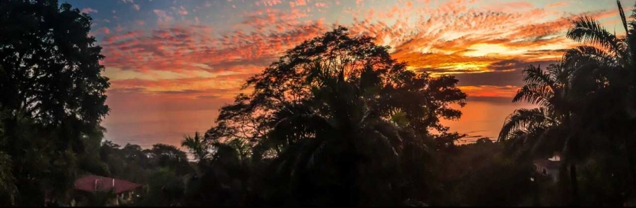 Dominical Real Estate Cover Image