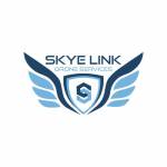 Skye Link