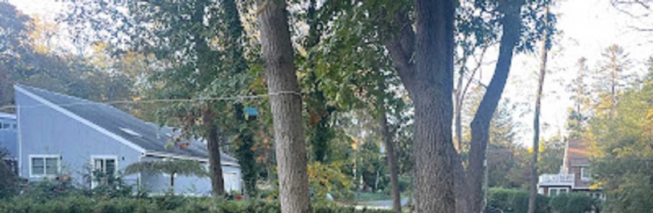 Randall Brothers Tree Service Cover Image