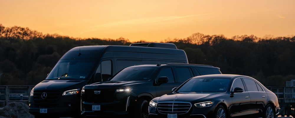 Jackrabbit Limo Cover Image