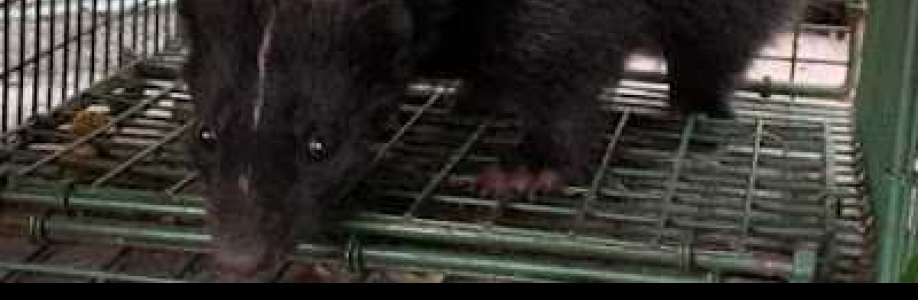 Media Animal Control Cover Image