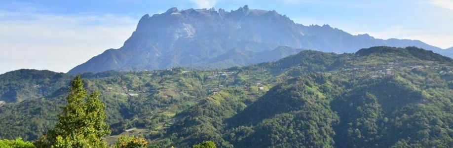 Tyler West Cover Image