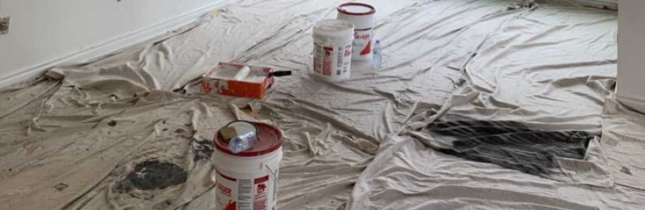 Painting by Ryan Cover Image