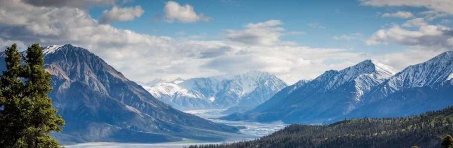 Blake Walker Cover Image