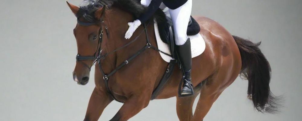 Canter Cart Cover Image