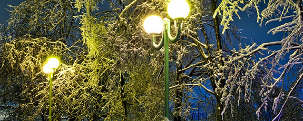 Tony's Landscape Lighting Cover Image