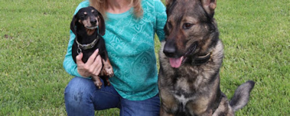 The K9 Coach Cover Image