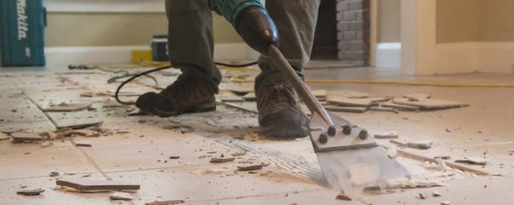 Dust Fighters Tile Removal Phoenix Cover Image