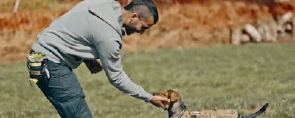 Kelev K9 Cover Image