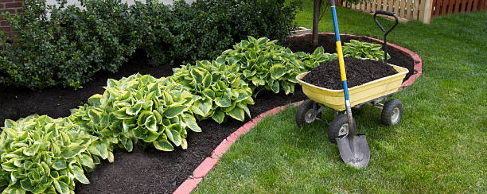 Ruiz landscaping Cover Image
