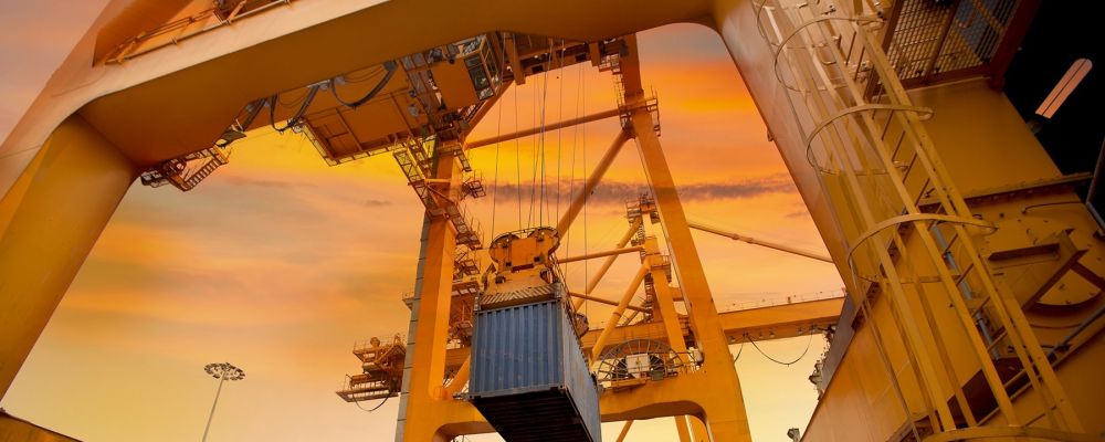 RADHA CRANES Cover Image