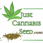 Sativa Seeds Profile Picture