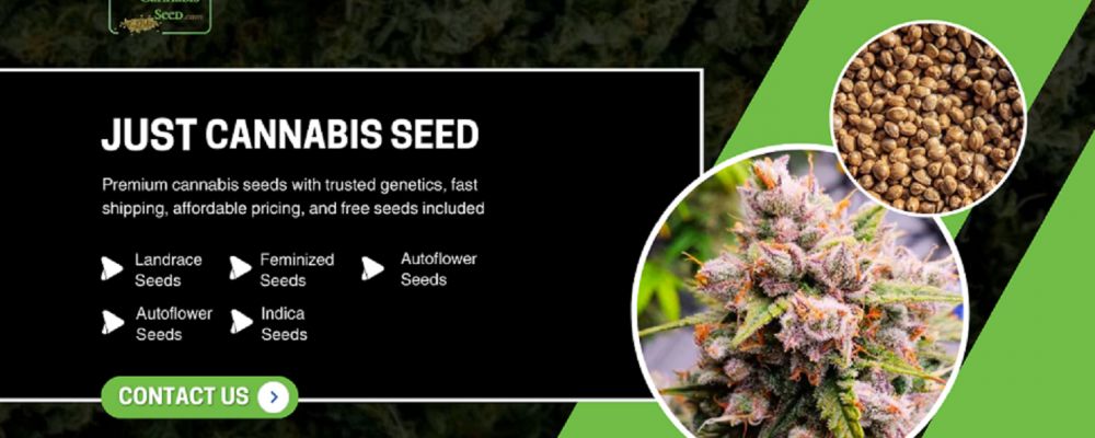 Sativa Seeds Cover Image