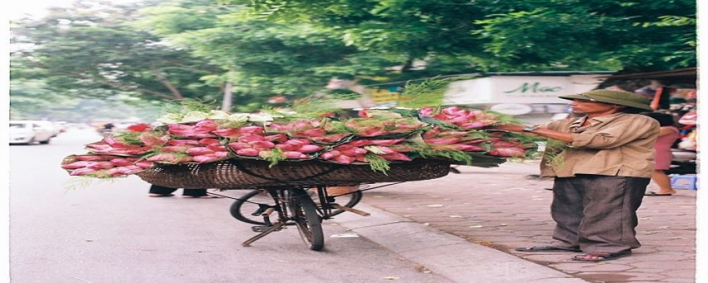 INSCENTIVE LLC Cover Image