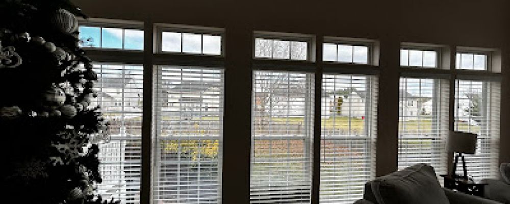 Shelby's Blinds Cover Image