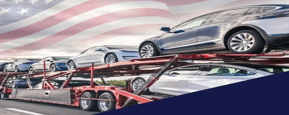 NIKI AUTO TRANSPORT Cover Image