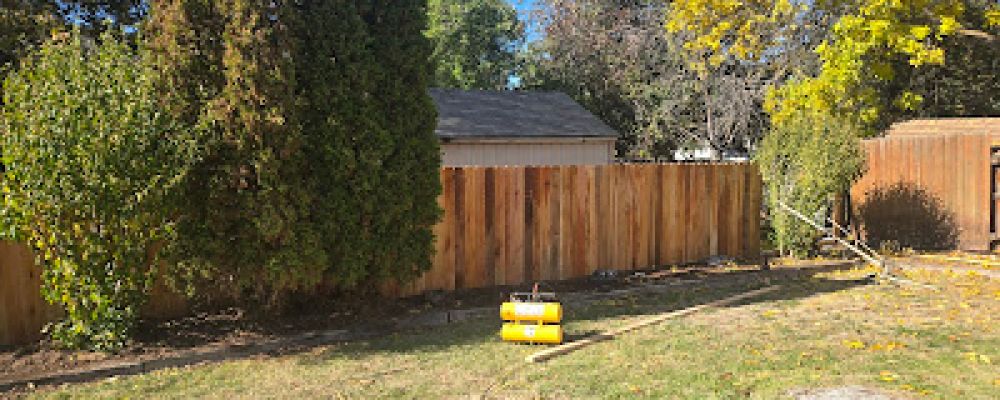 Gary Day Fencing Cover Image