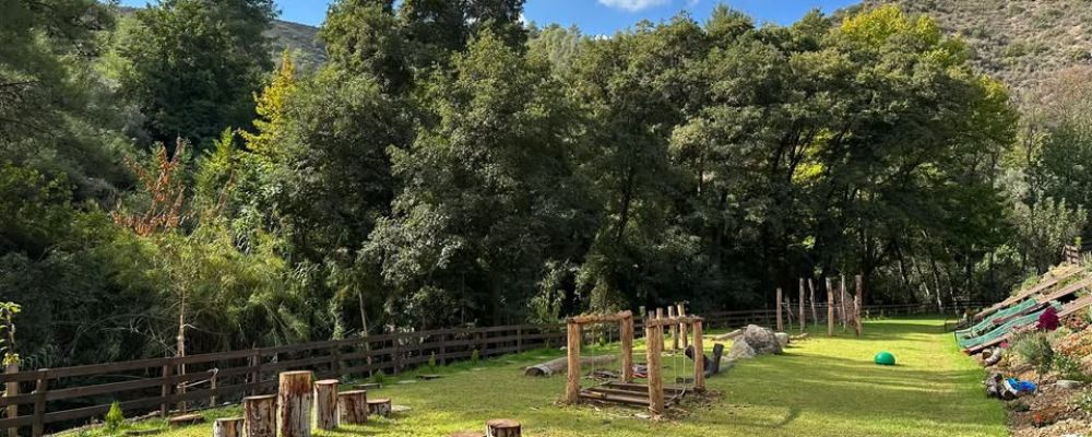 Back To Nature Cover Image