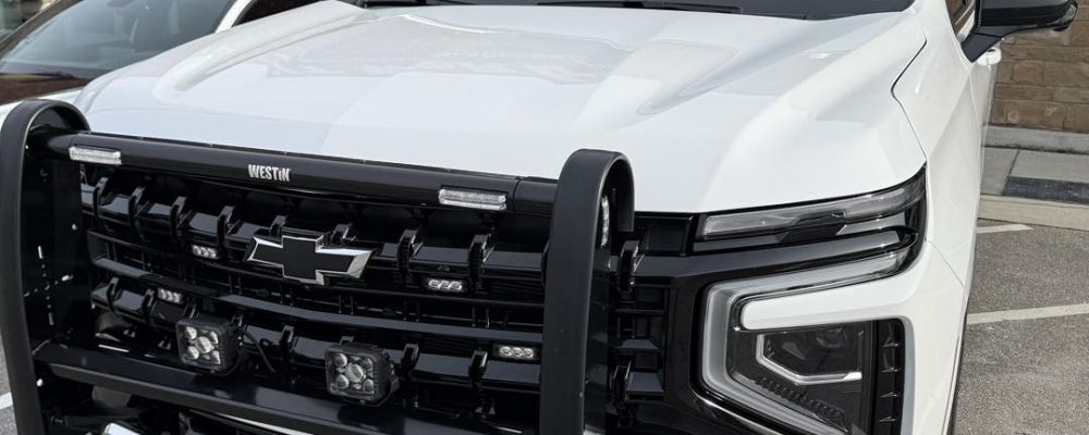 Tint World Cover Image