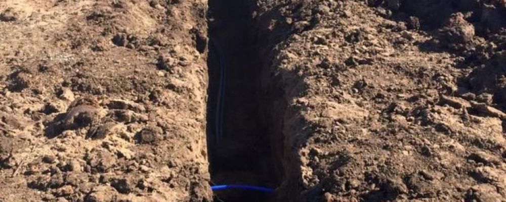 Gold Star Mechanical Cover Image