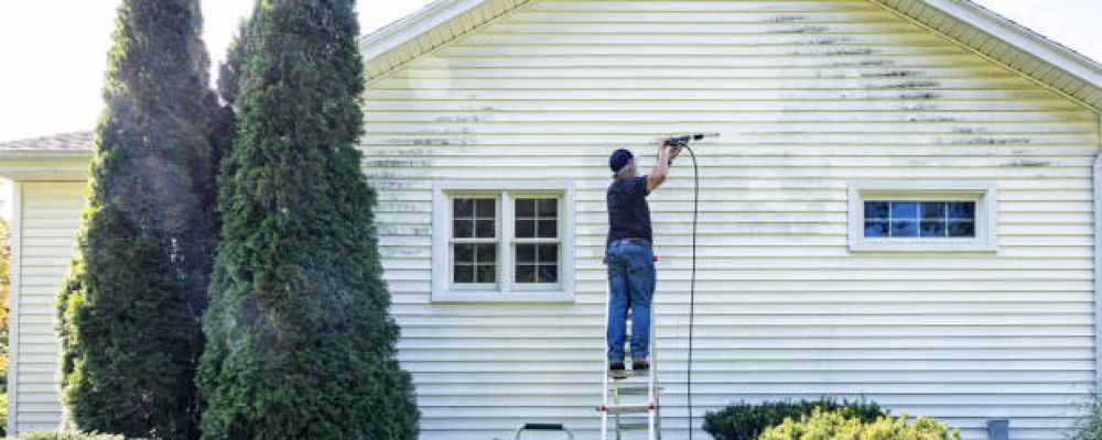 The Muscle Co. Cover Image