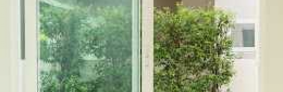 Autumn Doors and Windows Cover Image